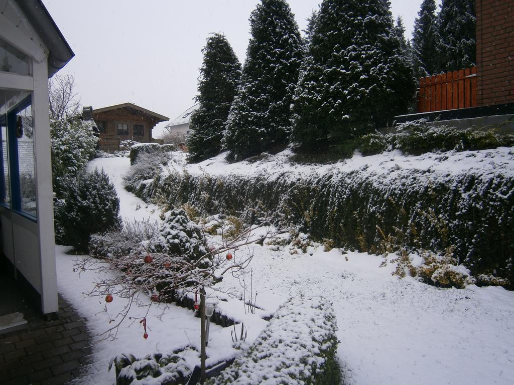 Eifeler Ferienwohnung Nettersheim Rum bild